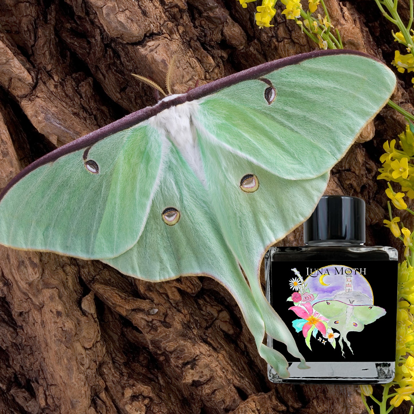 Van Dieman's 2025 March - Luna Moth - 100ml Lightly Shimmered Fountain Pen Ink