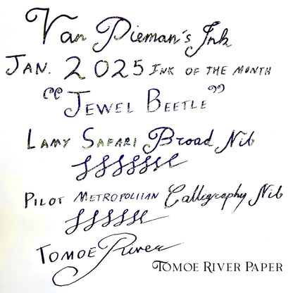 Van Dieman's 2025 January - Jewel Beetle - 100ml Shimmering Fountain Pen Ink