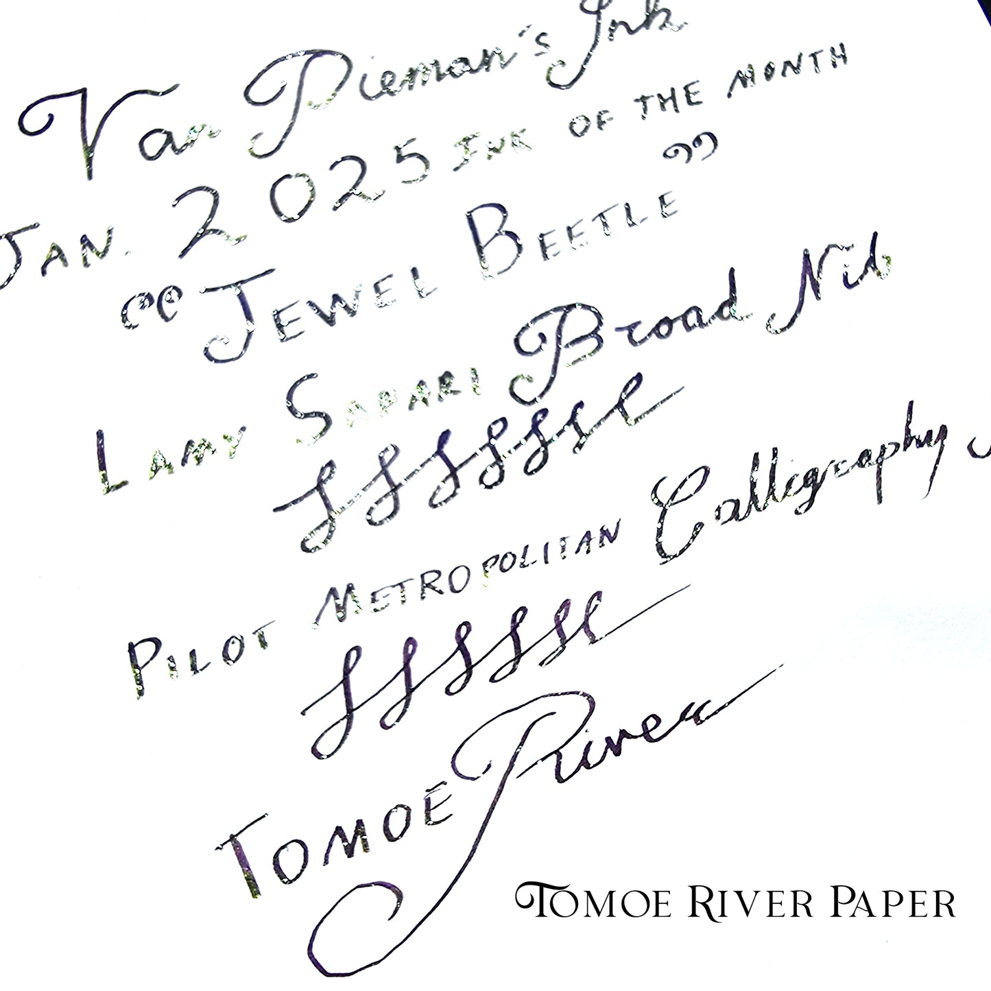 Van Dieman's 2025 January - Jewel Beetle - 100ml Shimmering Fountain Pen Ink